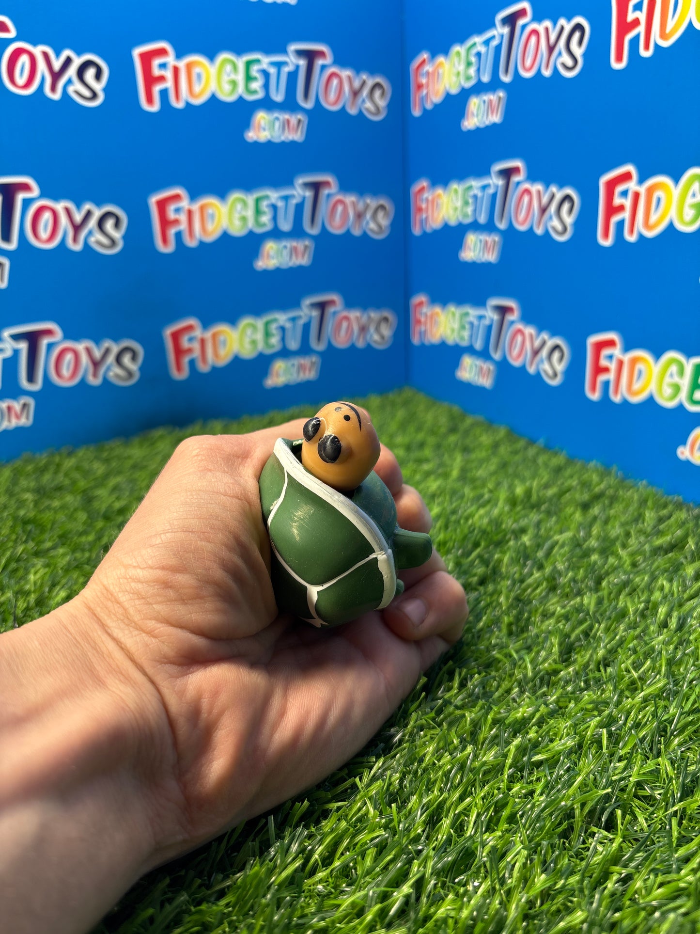 Squeeze Turtle Toy