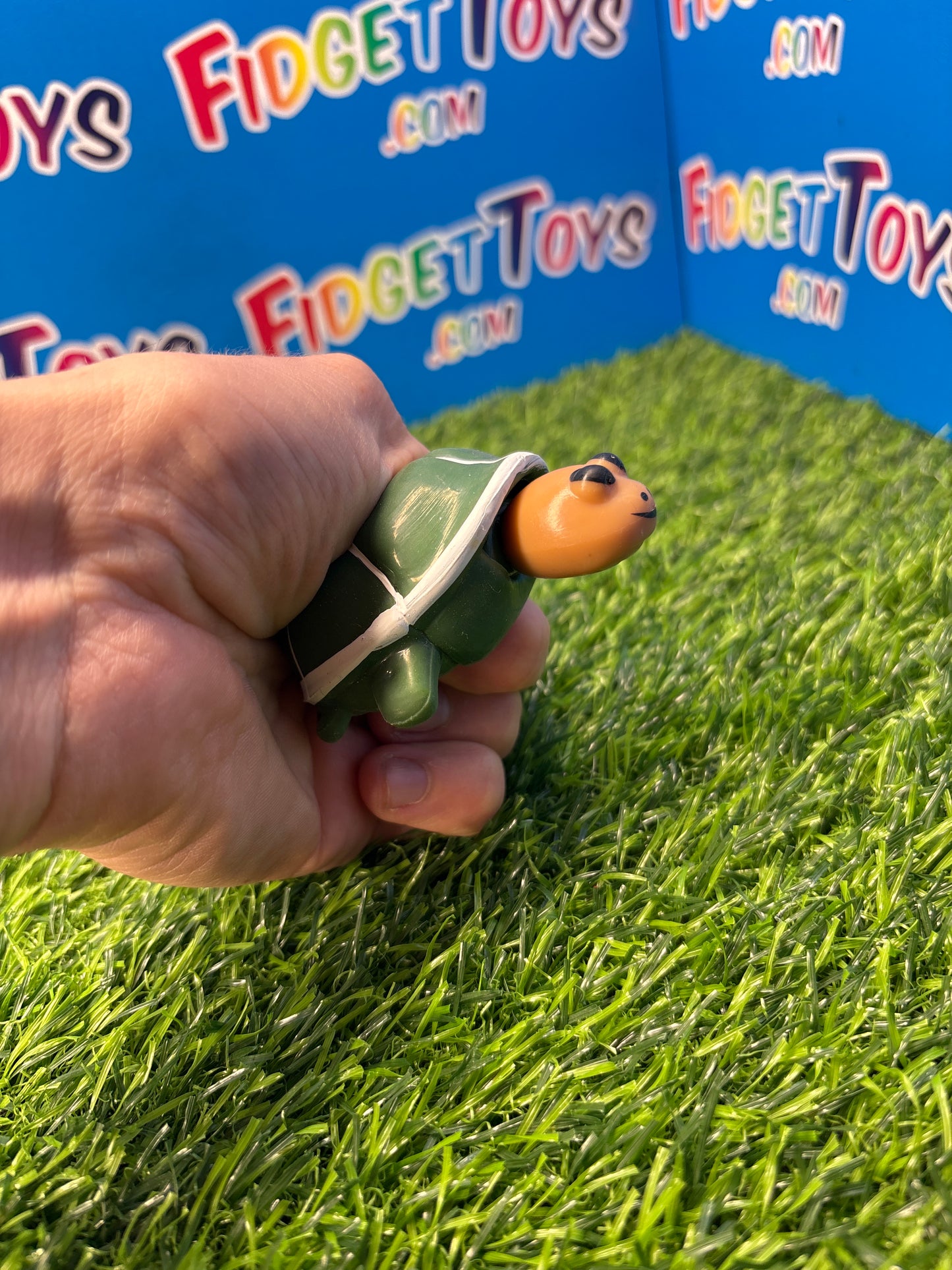 Squeeze Turtle Toy