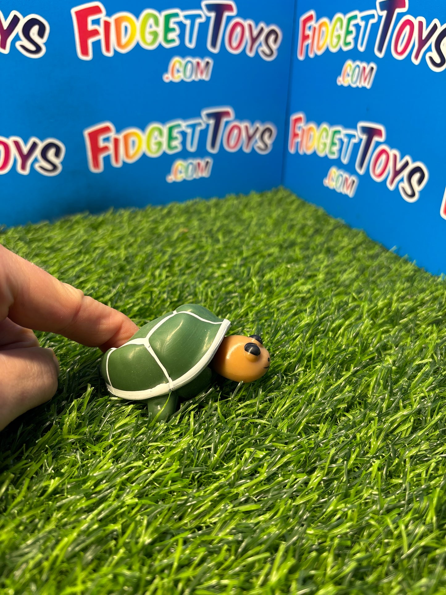 Squeeze Turtle Toy