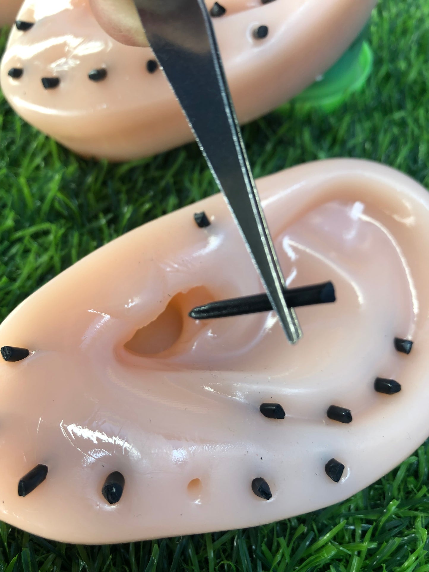 Blackhead Spot Popper Ear Fidget