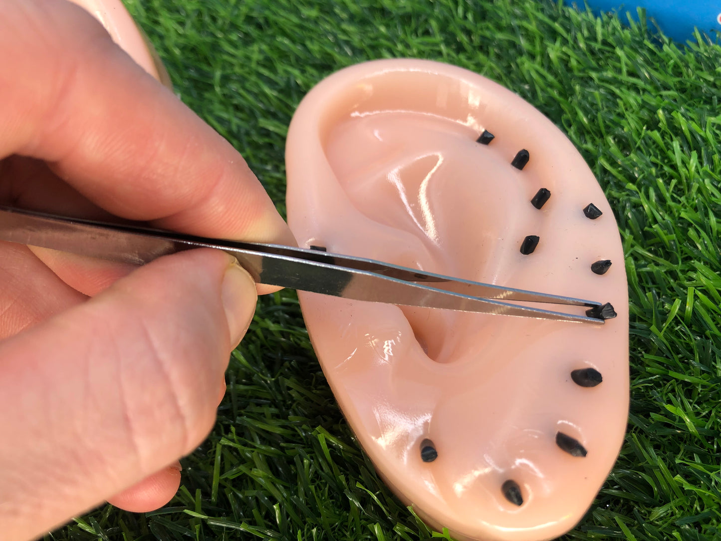 Blackhead Spot Popper Ear Fidget