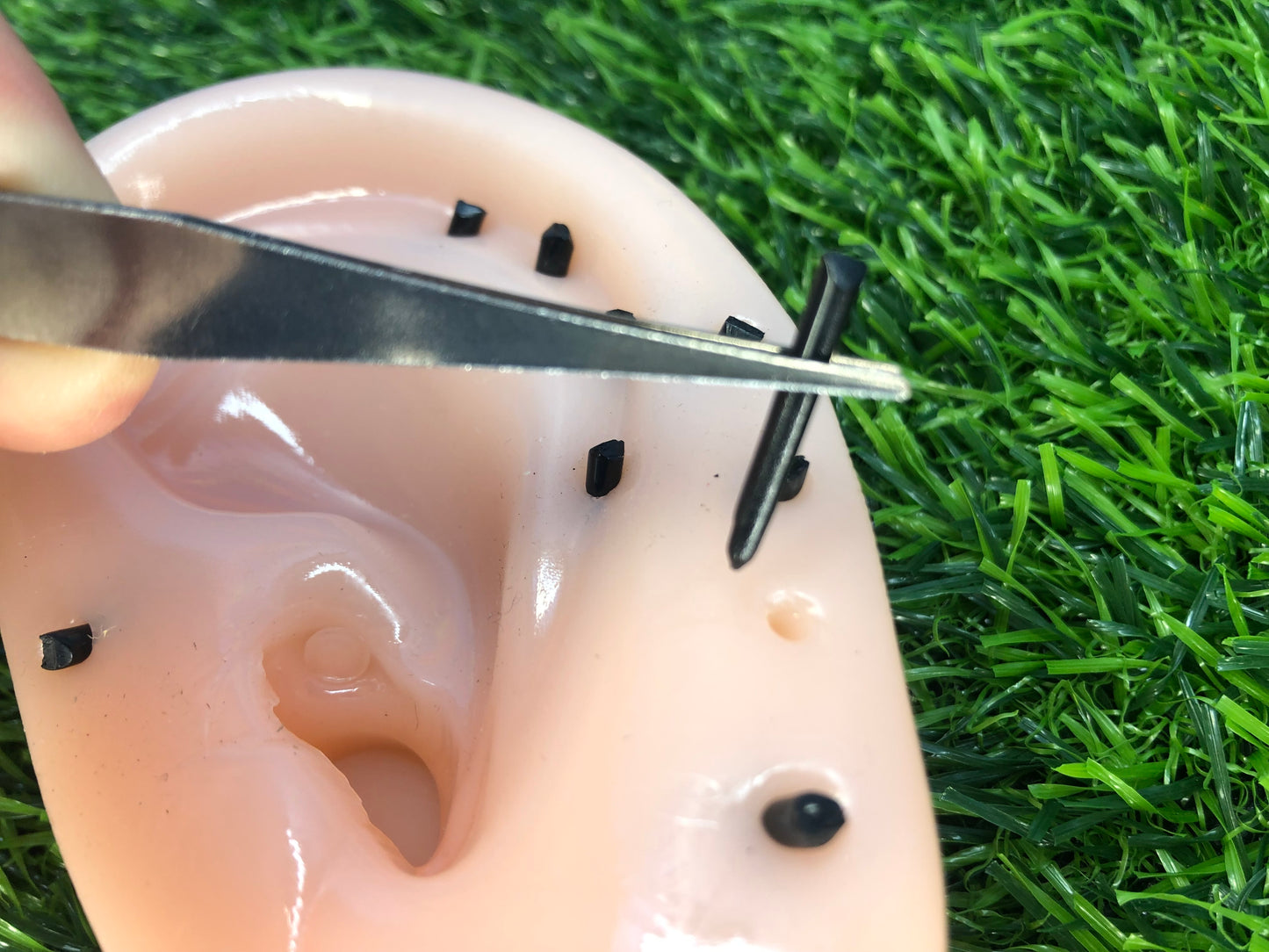 Blackhead Spot Popper Ear Fidget